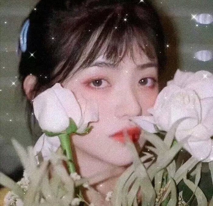 全美明星校花
